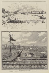 Over de vlaktes naar Colorado